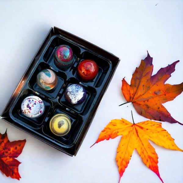 Six Import placeholder for 20526 in a box with autumn leaves.